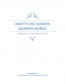 TECNOLOGÍA DE LA INFORMACION EN LAS ORGANIZACIONES