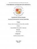 Ensayo sobre concepto de desarrollo sostenible