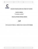 El método científico