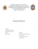 Ensayo de Dureza