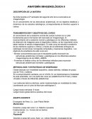 ANATOMÍA IMAGENOLÓGICA II DESCRIPCIÓN DE LA MATERIA