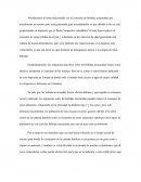 Consumo de bebidas azucaradas