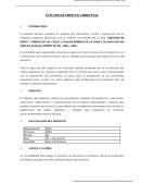 ESTUDIO DE IMPACTO AMBIENTAL PARA PISTAS