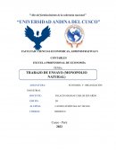 ECONOMIA Y ORGANIZACIÓN INDUSTRIAL