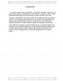 Ensayo de Cultura e importancia de la misma