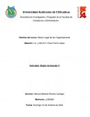 Marco Legal de las Organizaciones