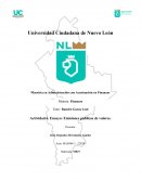 Ensayo: Emisiones públicas de valores