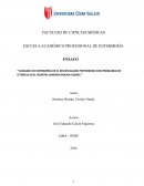 Cuidados de enfermeria en el recien nacido pretermino con problemas de ictericia