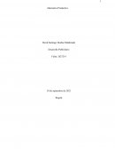 Reflexion etapa productiva