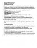 Secuencia didáctica: El calendario