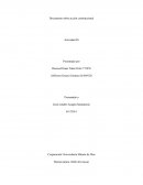 Documento sobre acción constitucional