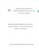 PROYECTO INSTITUCIONAL