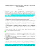 Ampliación de Hojas a Plantas Enteras y Copas para el Intercambio de Gases Fotosintéticos