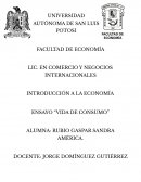 Ensayo vida de consumo