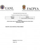 Informe sobre cada uno de los cinco componentes del control interno (Metodología COSO)
