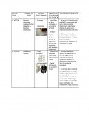 Tecnicas de compresion