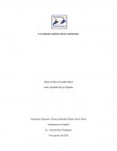 Los animales también tienen sentimientos