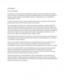 Permeabilidad en Pergola de las Flores, Concepción