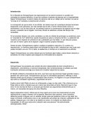 La filosofía de Schopenhauer