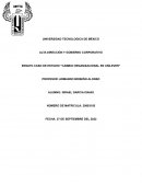 ENSAYO CASO DE ESTUDIO “CAMBIO ORGANIZACIONAL EN UNILEVER”