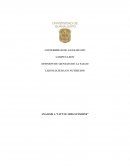 ANALISIS A “LITTLE MISS SUNSHINE”