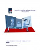 Atención a enfermedades básicas en Urgencia
