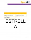 Analisis pesta y porter ESTRELLA