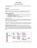 FAMILIA; CONCEPTO Y CLASES