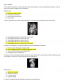 Resúmenes de imagen