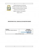 IMPORTANCIA DEL LENGUAJE EN EL MUNDO