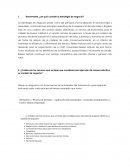 ¿en qué consiste la estrategia de negocio?