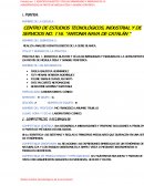 Identifica blastos y células maduras e inmaduras