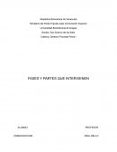 Fases y partes del proceso penal