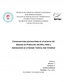 Consecuencias psicosociales en el entorno del Sistema de Protección del Niño, Niña y Adolescente en el Estado Táchira, San Cristóba