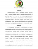 DESARROLLO NEUROLOGICO