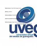 Definiendo el Mercado Meta Leche LALA deslactosada