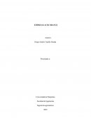 Caso empresa ACID ORANGE