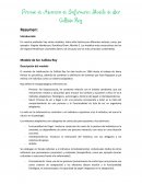 Proceso de Atención de Enfermería: Modelo de Sor Callista Roy