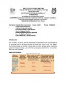 Responsabilidad y obligatoriedad, leyes y normas