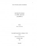 Vectorentes, matrices y determinantes