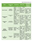 Cuadro comparativo Noam Chomsky