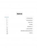 Informe estudio del trabajo - Fabricacion de papel