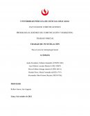 Antropología parcial