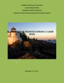 POLLOS DE ENGORDE. INFORMA DE PASANTIA