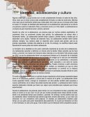 Identidad, adolescencia y cultura