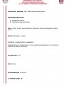SARS: Severe Acute Respiratory Syndrome (Síndrome Respiratorio Agudo Grave).