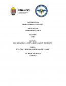 ENSAYO “CREANDO EMPRESAS DE VALOR”