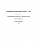 REFLEXIONES DE LAS REPERCUCIONES DEL COVID 19 EN EL PERÚ