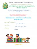 EDUCACION PRIMARIA E INFORMATICA CICLO IV PLANIFICACION CURRICULAR