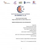 BEBIDAS REFRESCANTES CON ANTIOXIDANTES